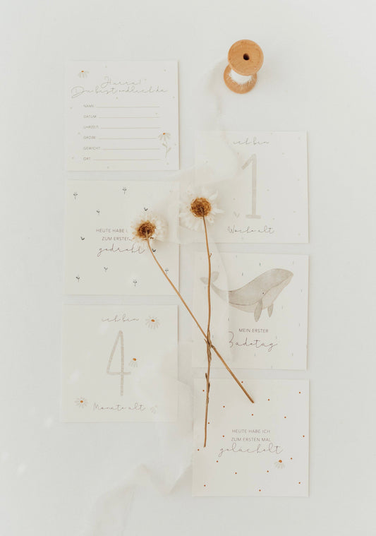 Meilensteinkarten ERSTES BABYJAHR