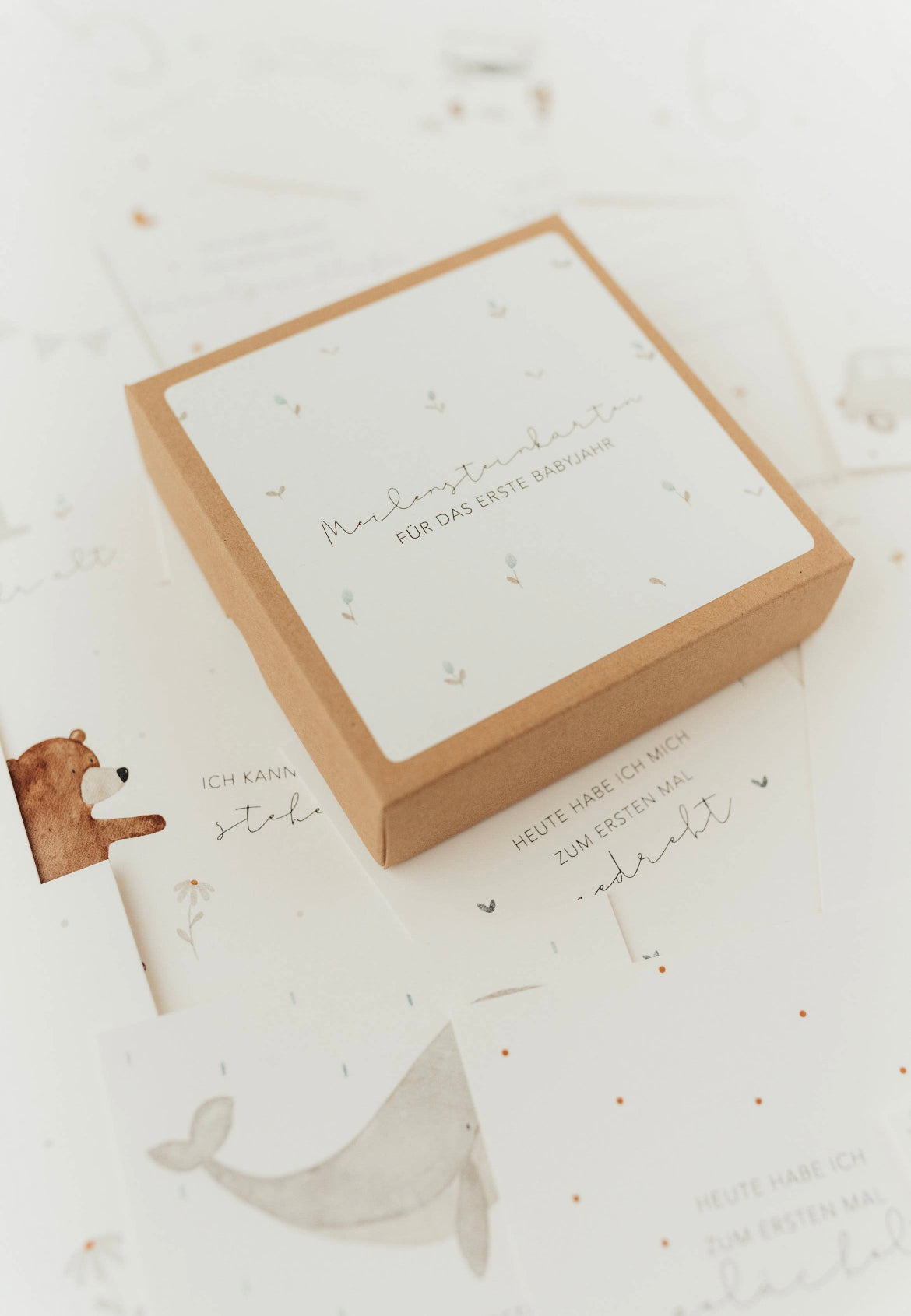 Meilensteinkarten ERSTES BABYJAHR